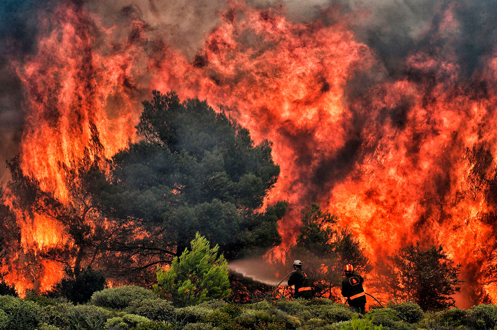 Slideshow Image